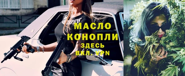 гашик Бородино