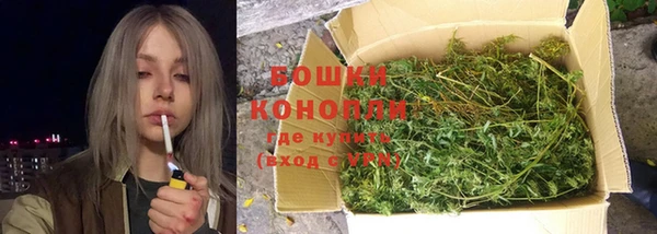 твердый Богородск