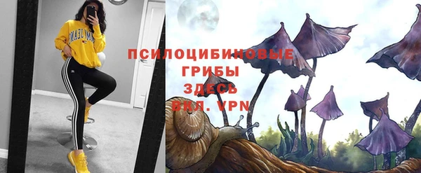 тгк Володарск