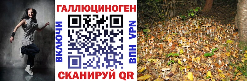 Галлюциногенные грибы мицелий  дарнет шоп  Бобров 